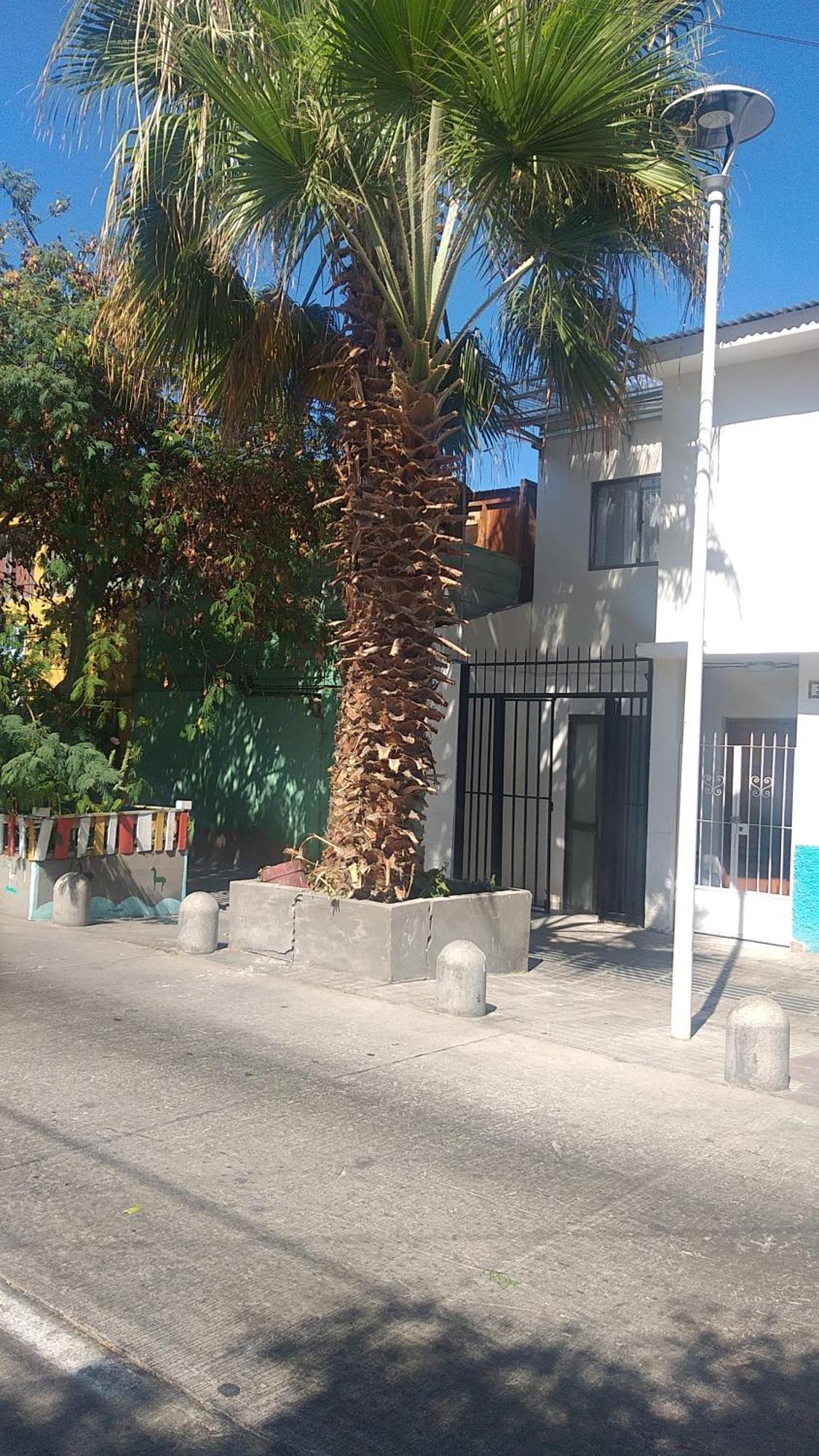 Hostal La Ruca Antofagasta Exteriör bild
